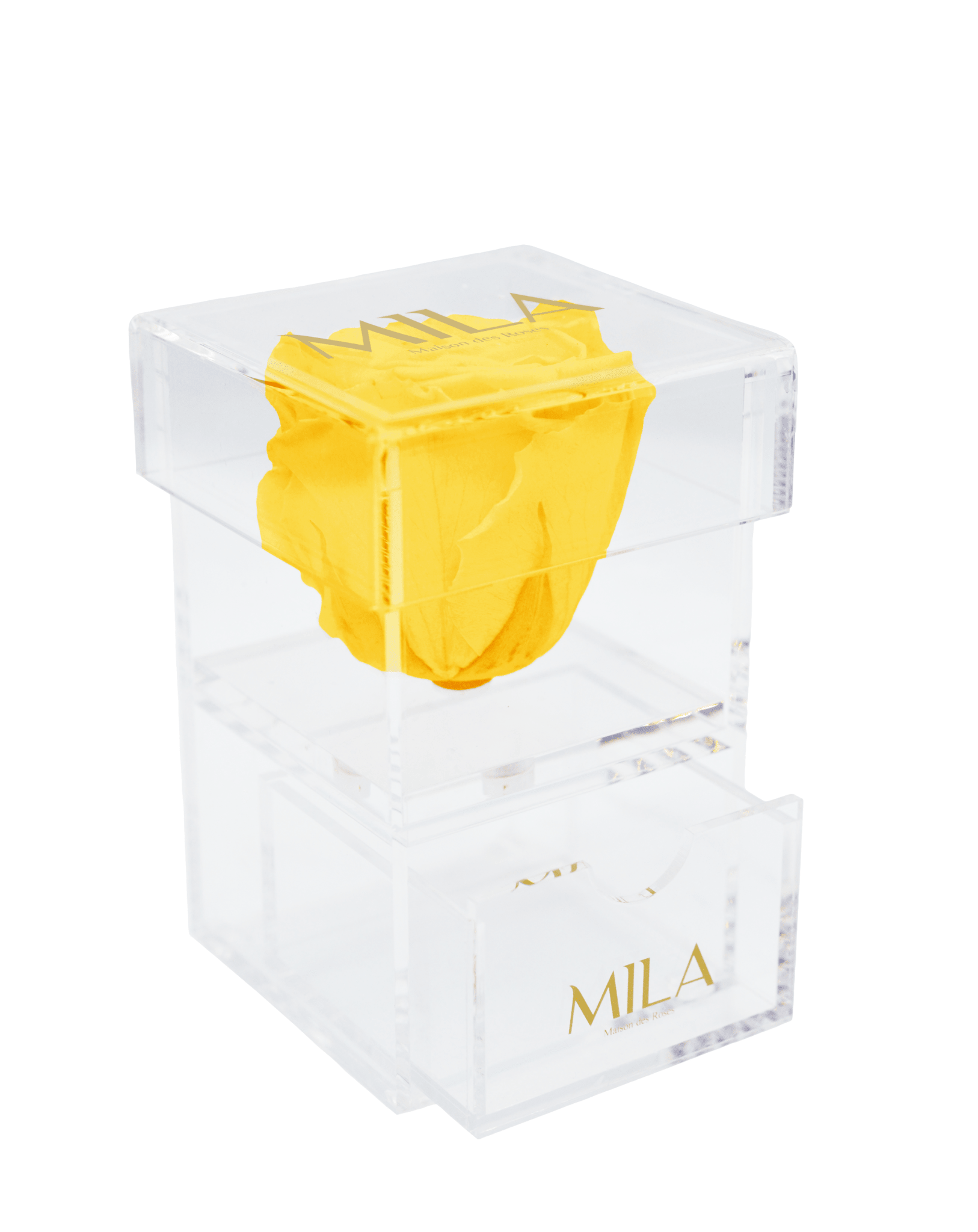 Mila Acrylic Baby Drawer - Mila Rose