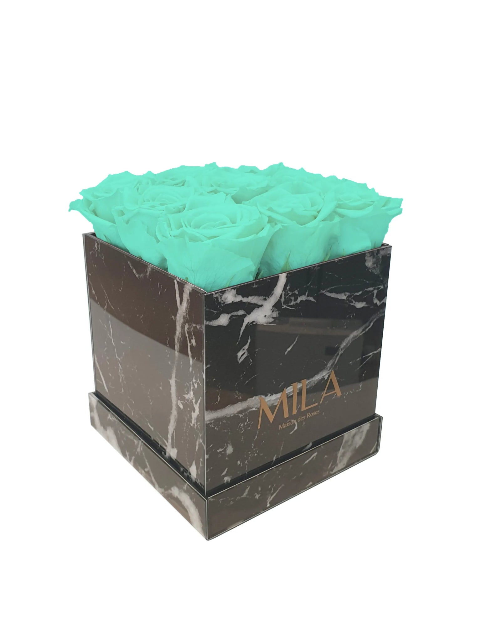 Mila Acrylic Black Marble - Mila Rose