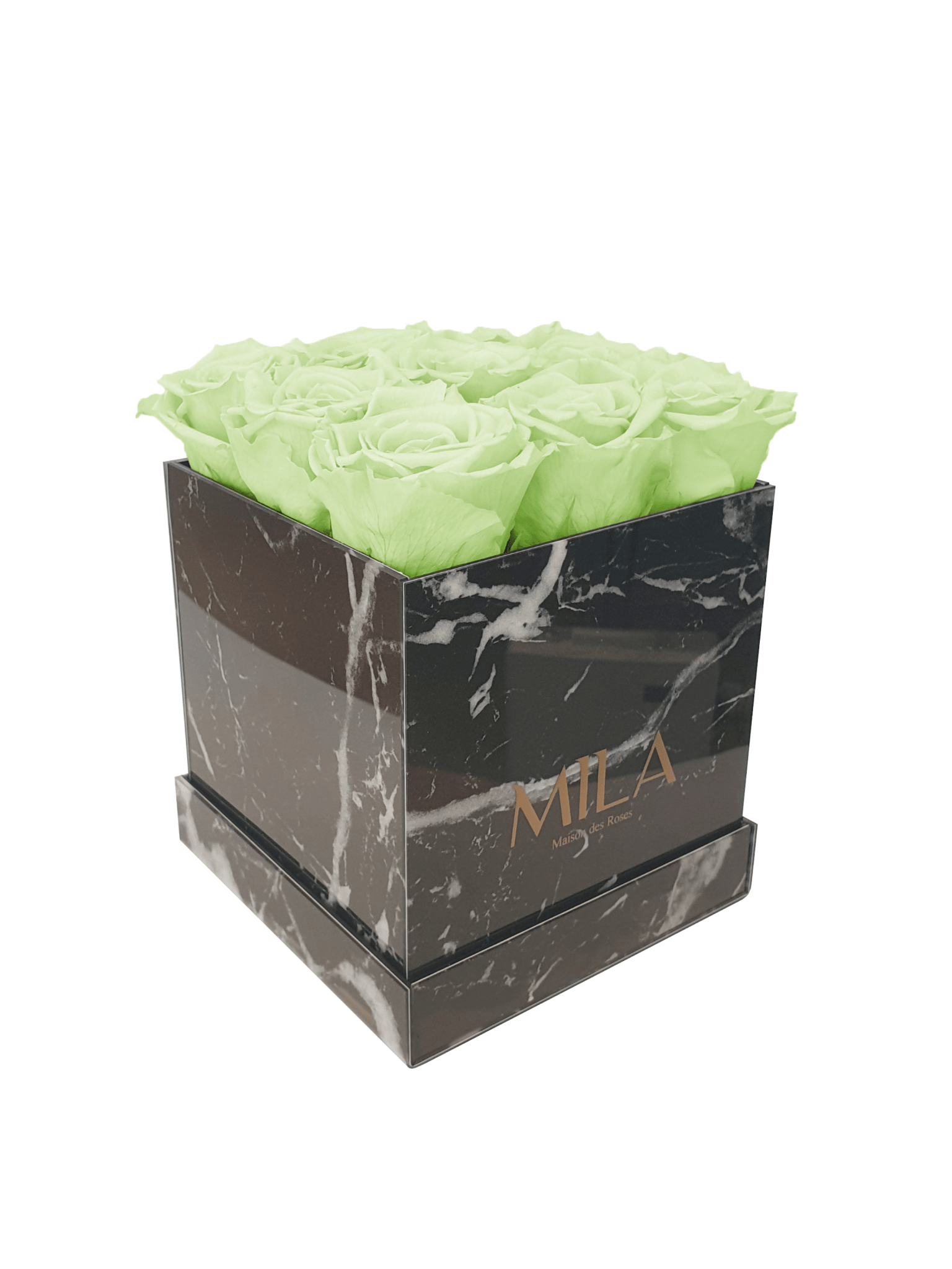 Mila Acrylic Black Marble - Mila Rose