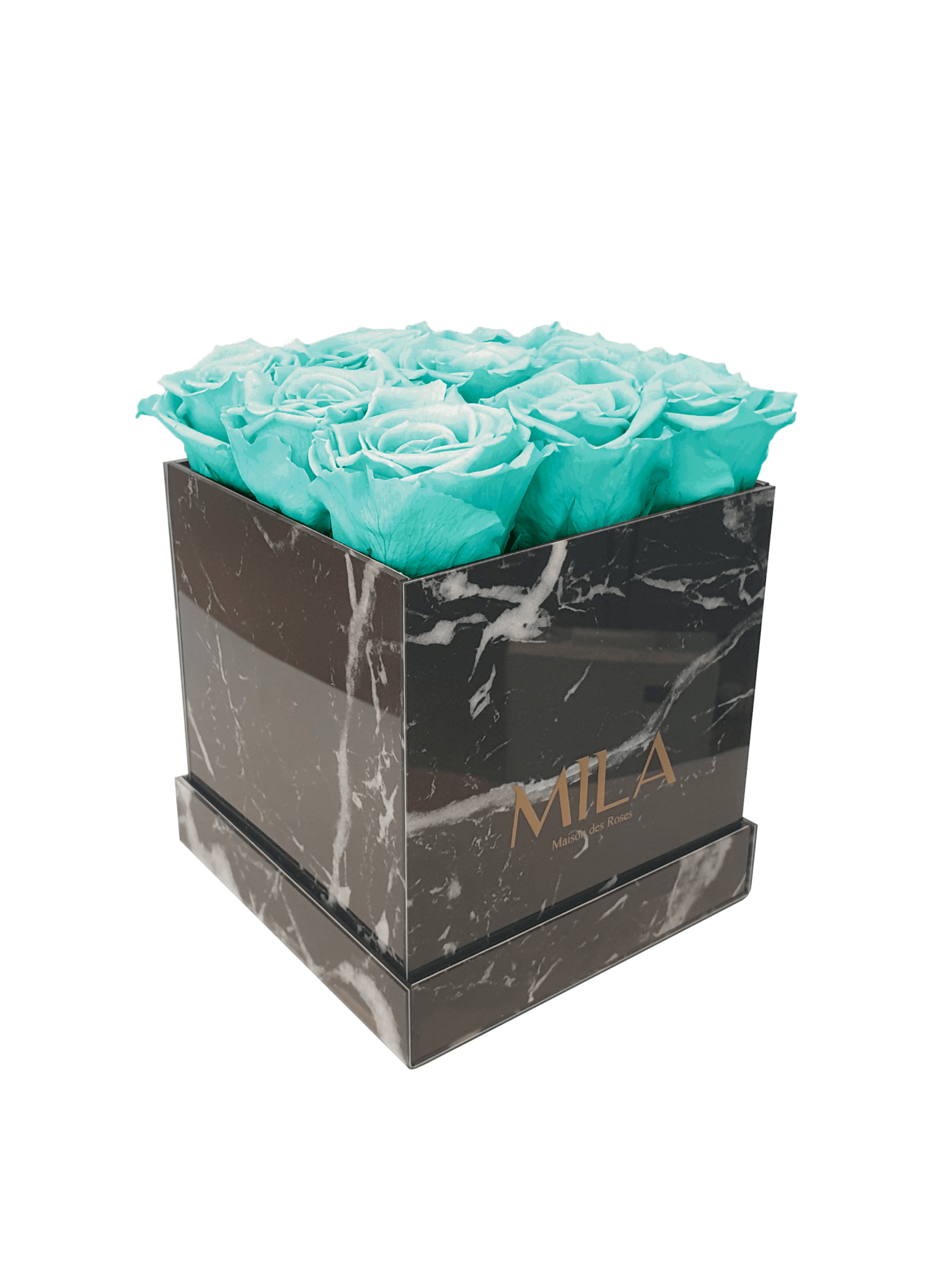 Mila Acrylic Black Marble - Mila Rose