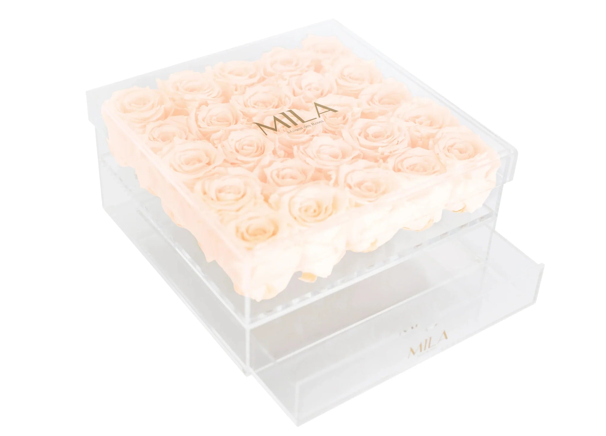Mila Acrylic Large Bijou - Mila Rose