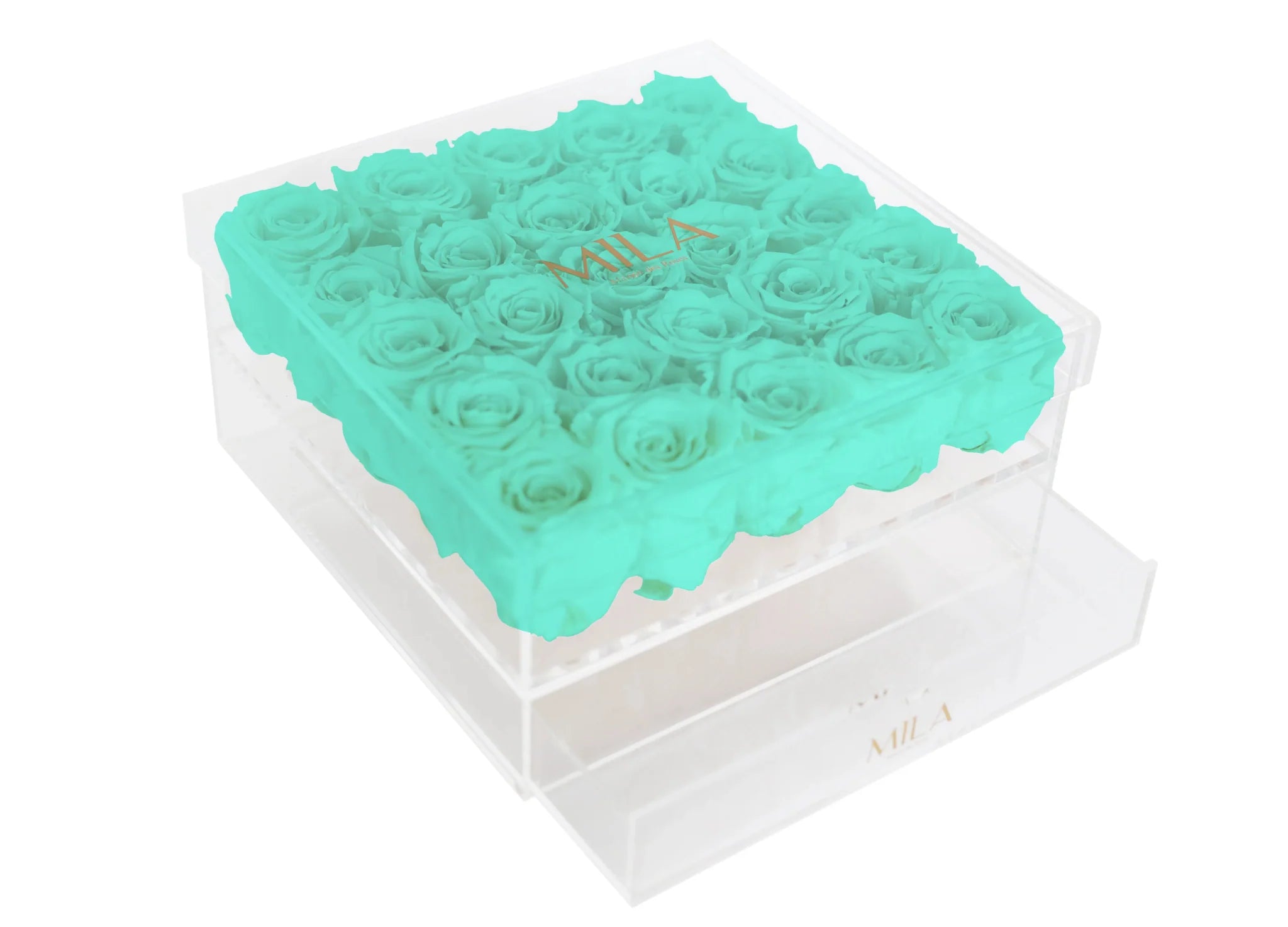 Mila Acrylic Large Bijou - Mila Rose