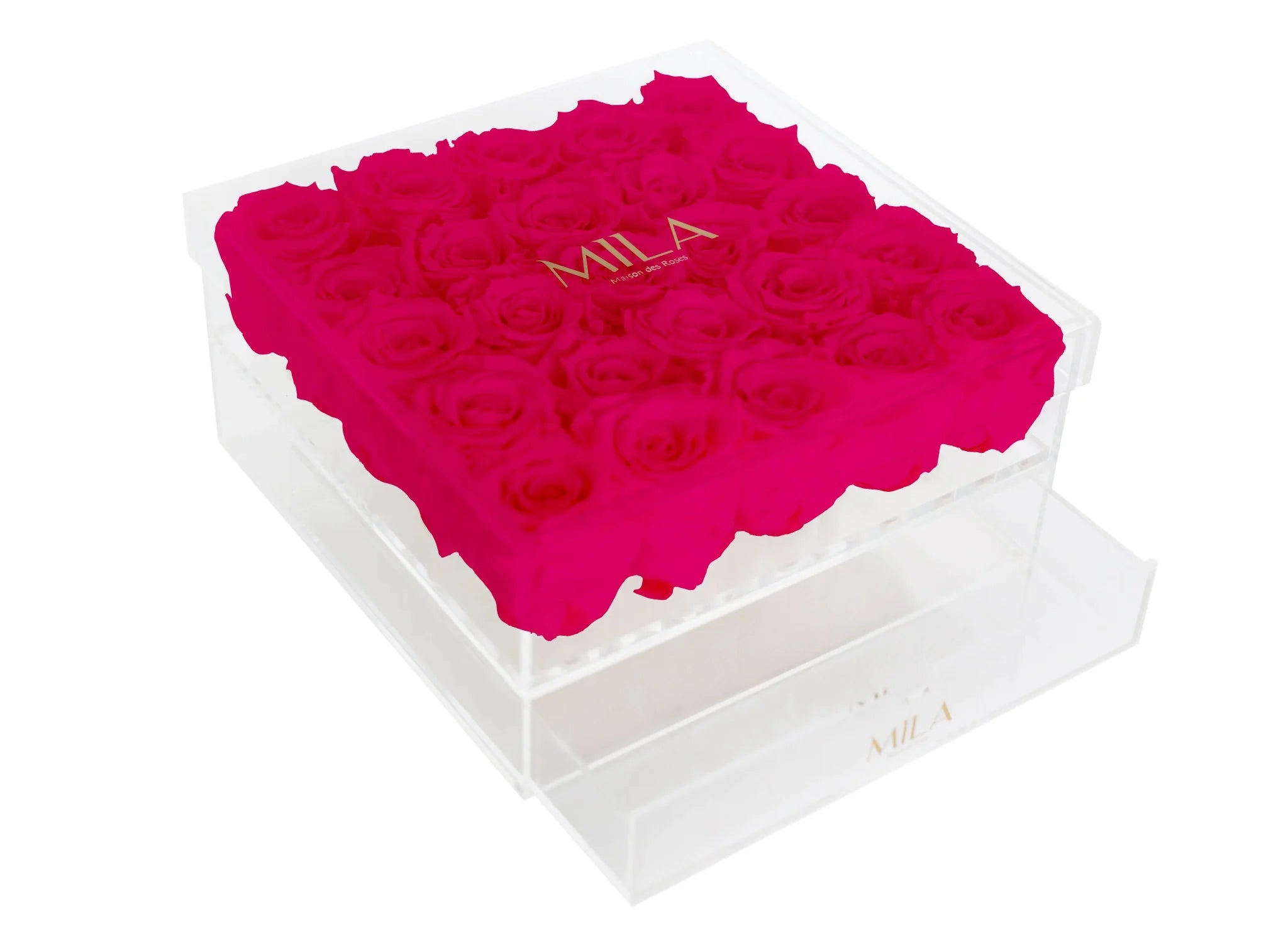 Mila Acrylic Large Bijou - Mila Rose