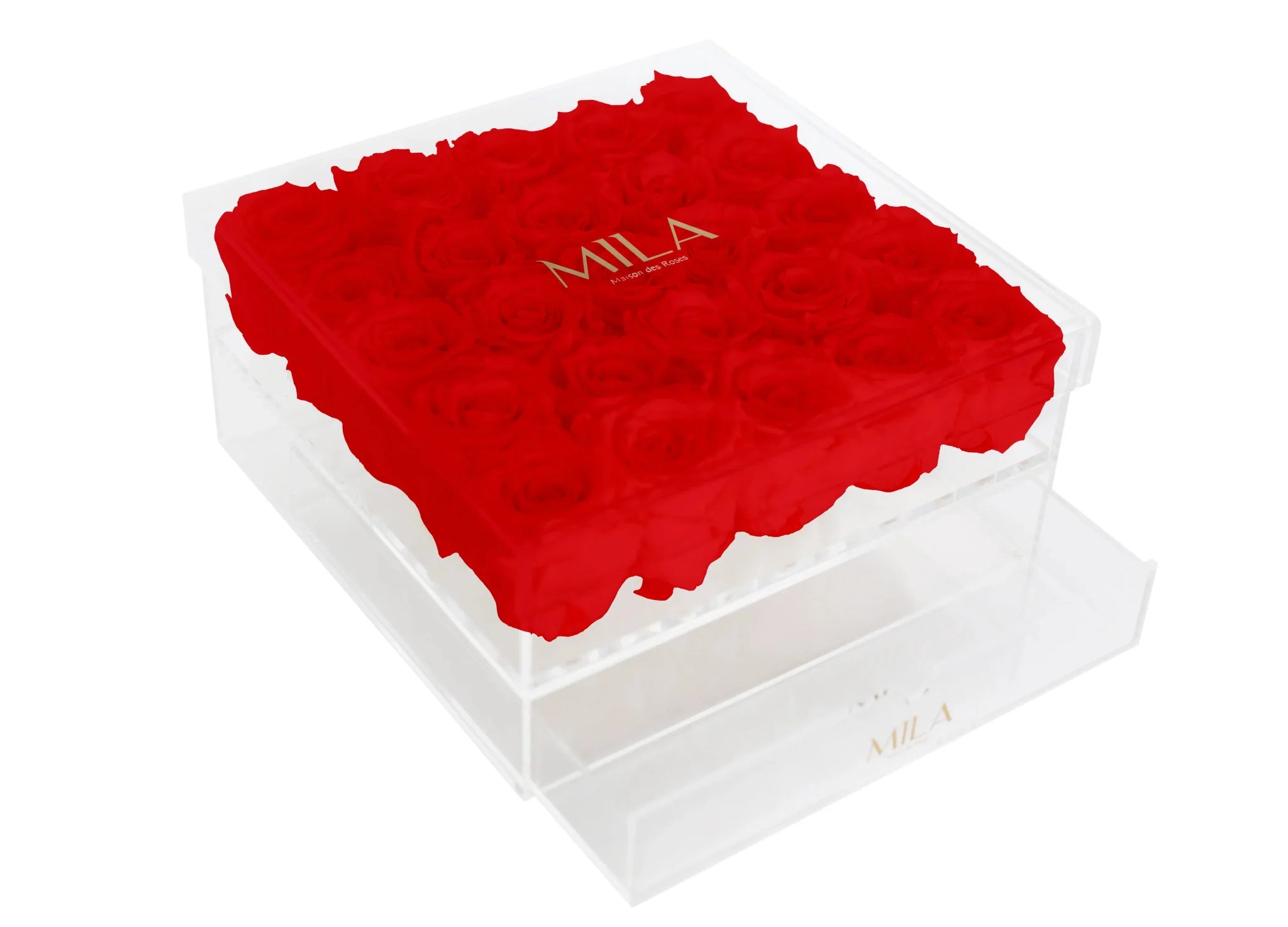 Mila Acrylic Large Bijou - Mila Rose