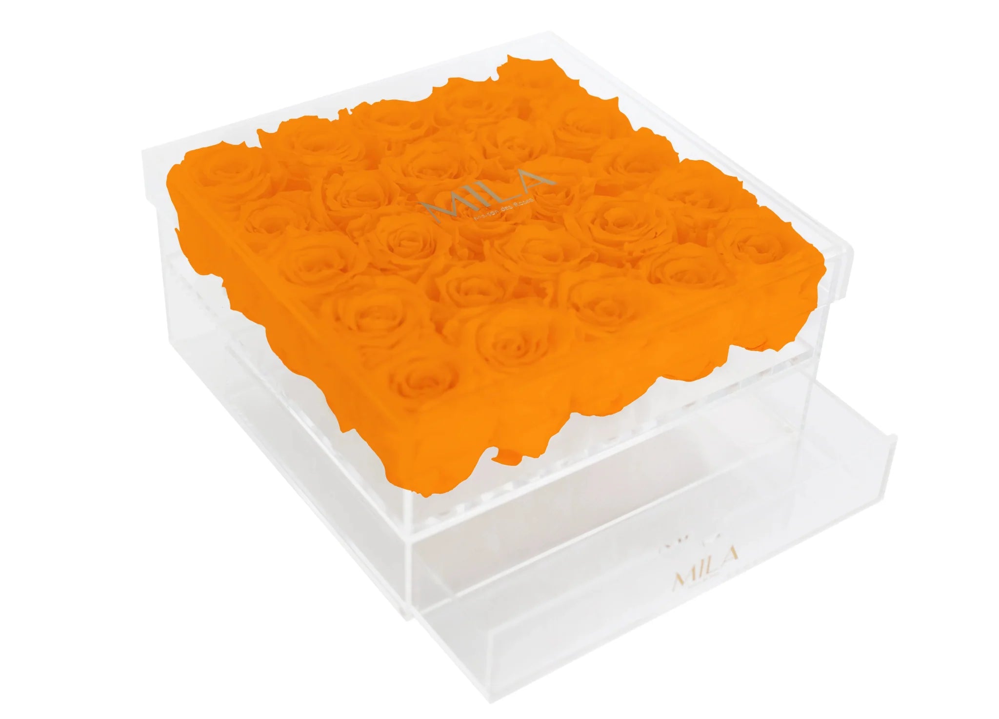 Mila Acrylic Large Bijou - Mila Rose