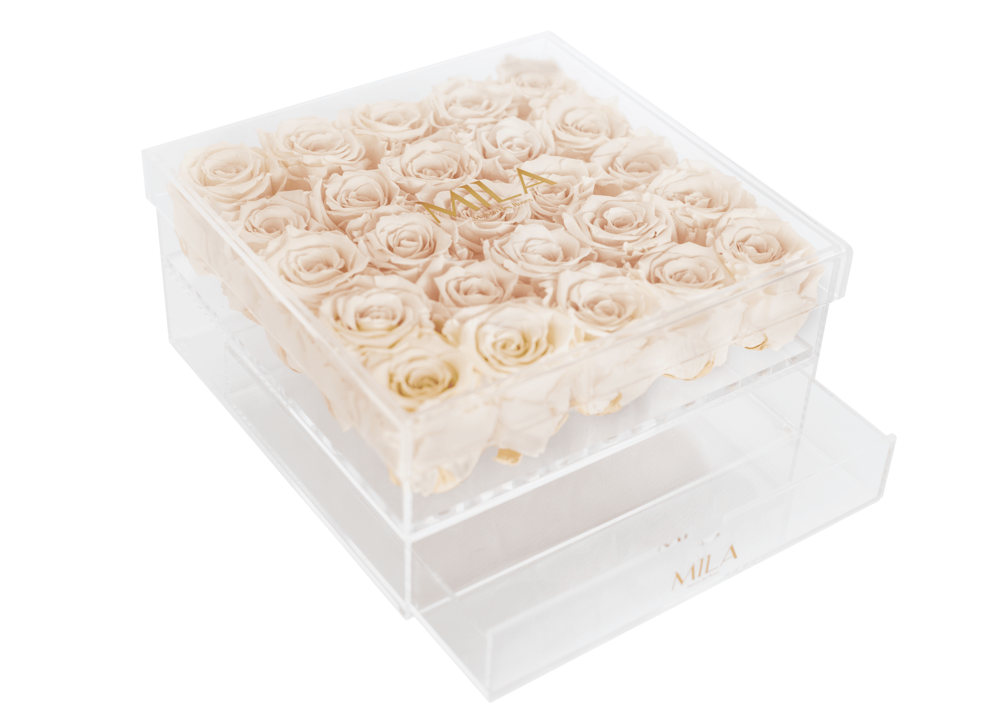 Mila Acrylic Large Bijou - Mila Rose