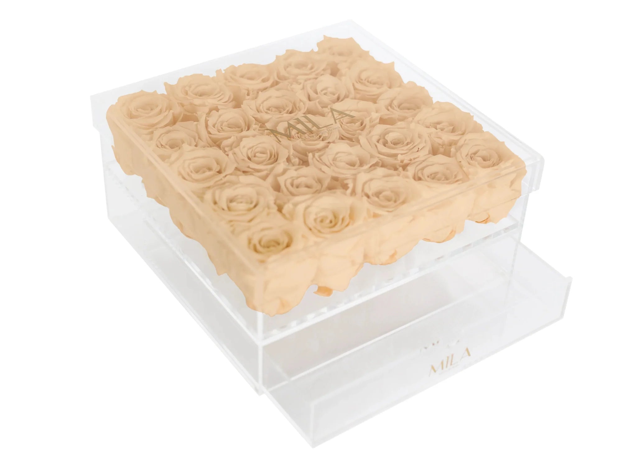 Mila Acrylic Large Bijou - Mila Rose