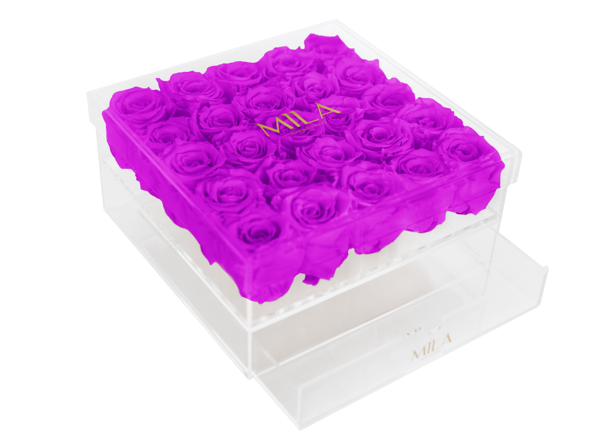 Mila Acrylic Large Bijou - Mila Rose
