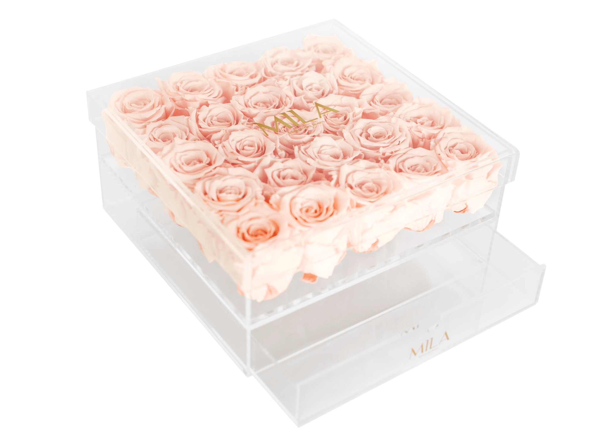 Mila Acrylic Large Bijou - Mila Rose