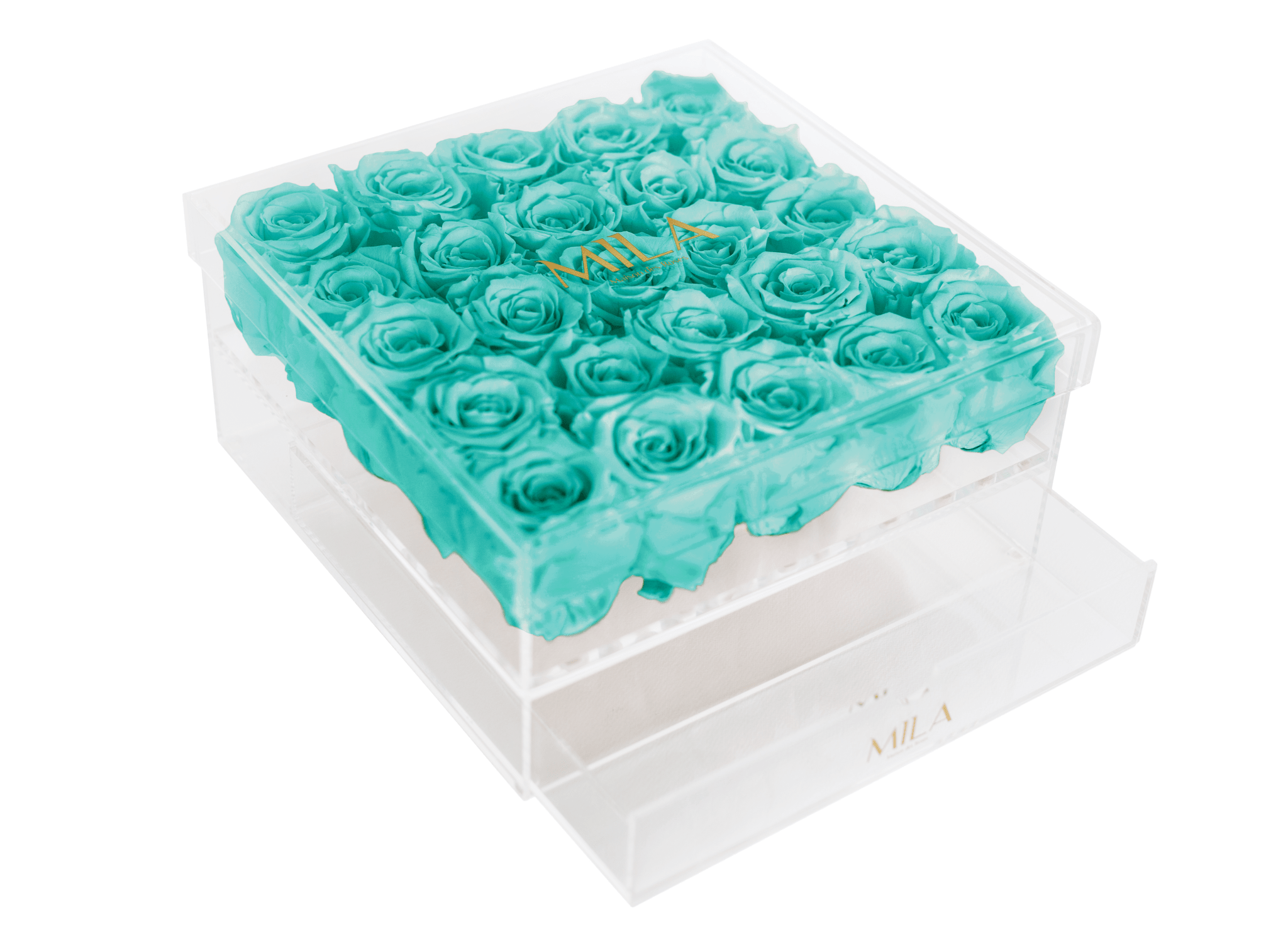 Mila Acrylic Large Bijou - Mila Rose