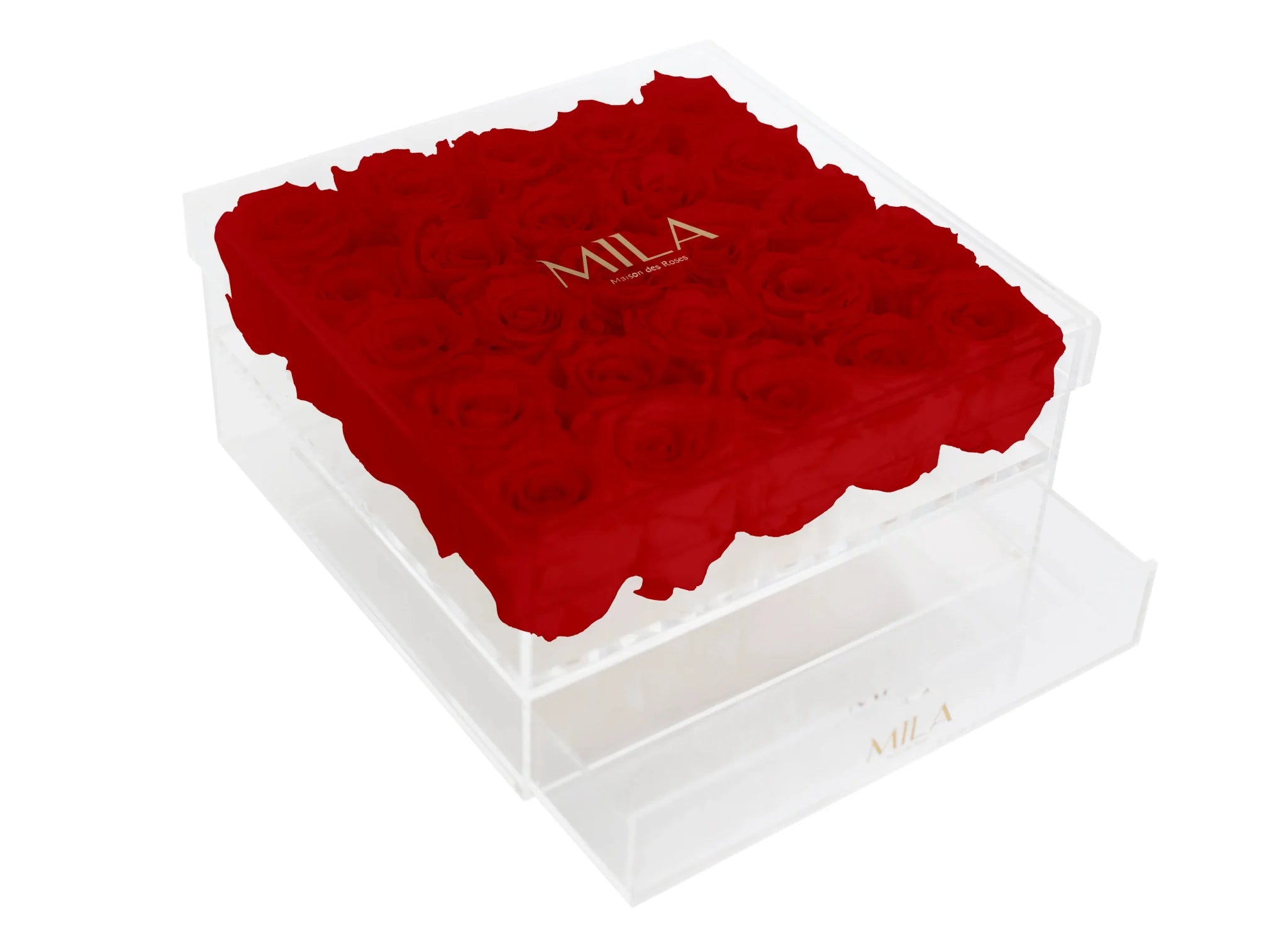 Mila Acrylic Large Bijou - Mila Rose