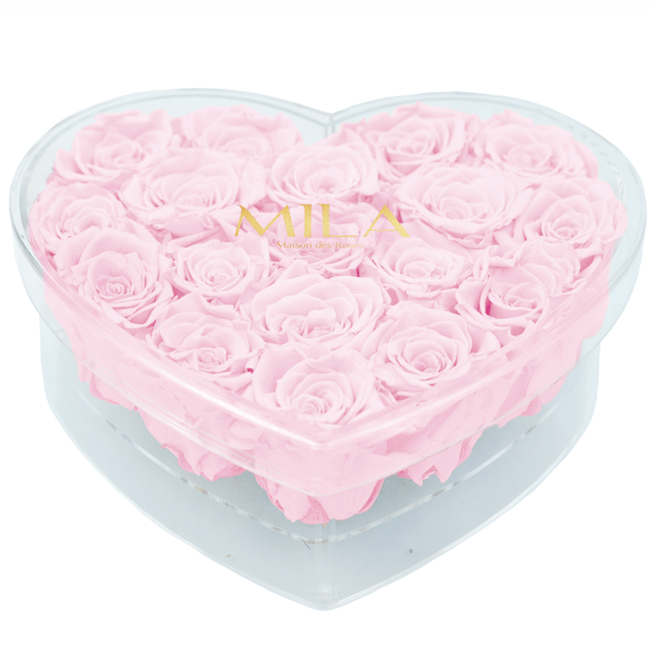 Mila Acrylic Large Heart - Mila Rose