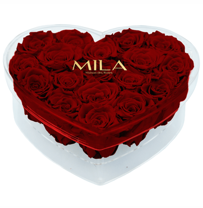 Mila Acrylic Large Heart - Mila Rose
