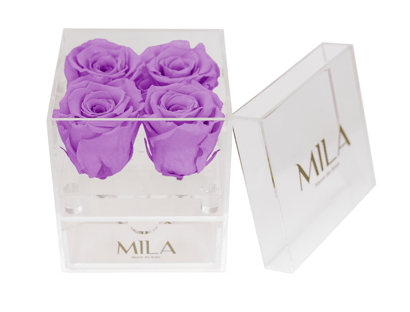 Mila Acrylic Mini Bijou - Mila Rose