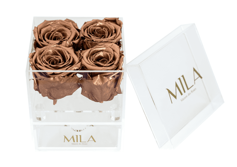 Mila Acrylic Mini Bijou - Mila Rose