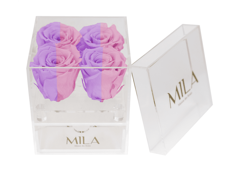 Mila Acrylic Mini Bijou - Mila Rose