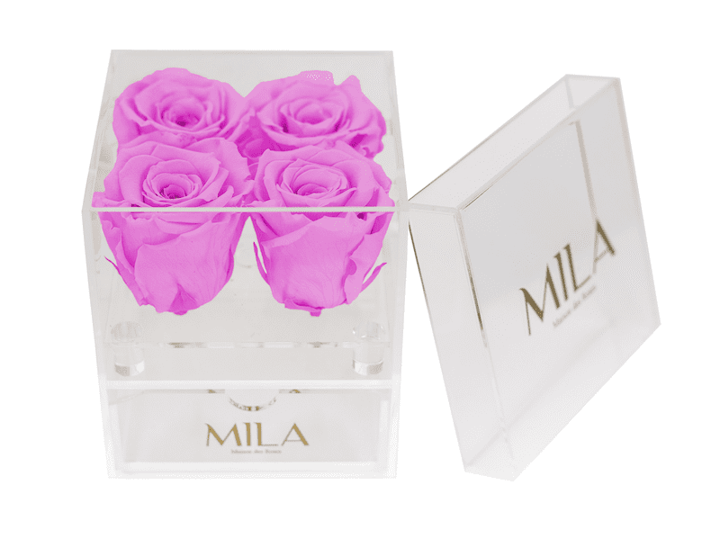 Mila Acrylic Mini Bijou - Mila Rose