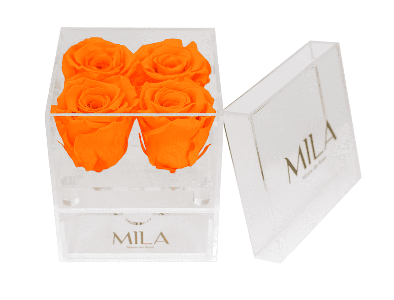 Mila Acrylic Mini Bijou - Mila Rose