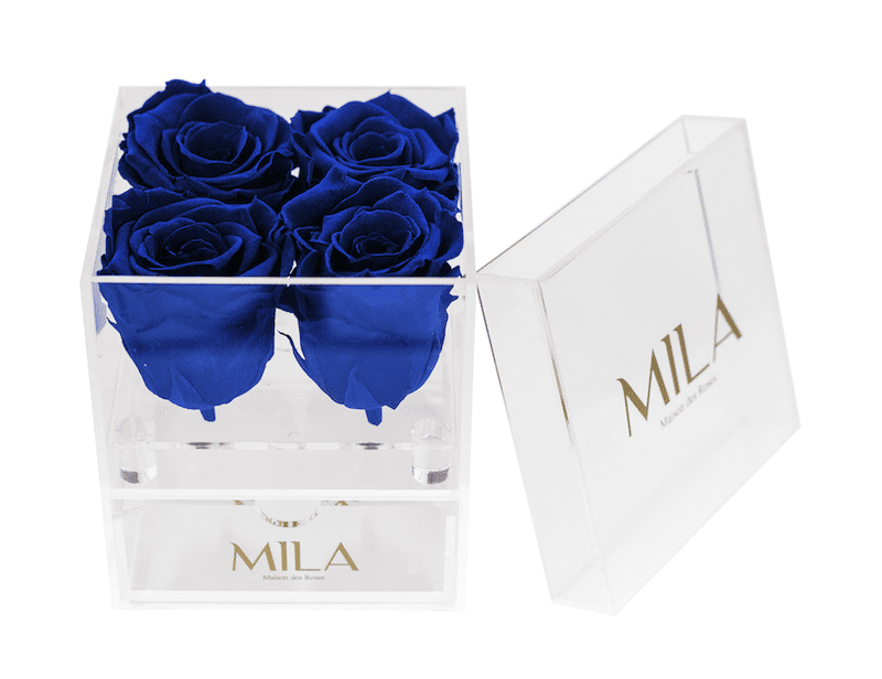 Mila Acrylic Mini Bijou - Mila Rose