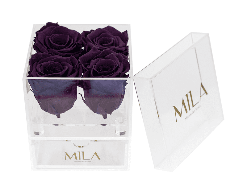 Mila Acrylic Mini Bijou - Mila Rose