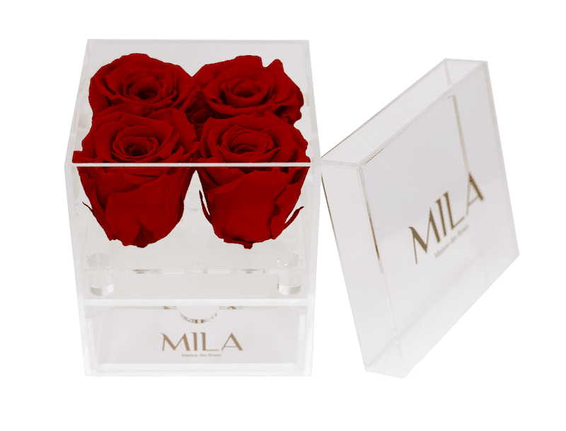 Mila Acrylic Mini Bijou - Mila Rose