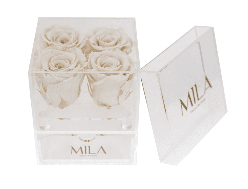 Mila Acrylic Mini Bijou - Mila Rose