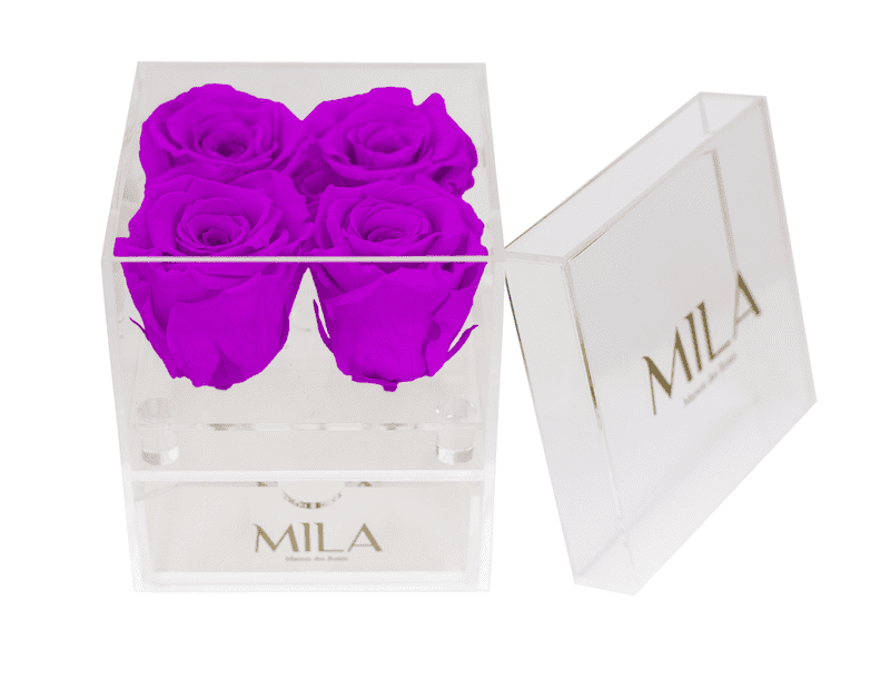 Mila Acrylic Mini Bijou - Mila Rose