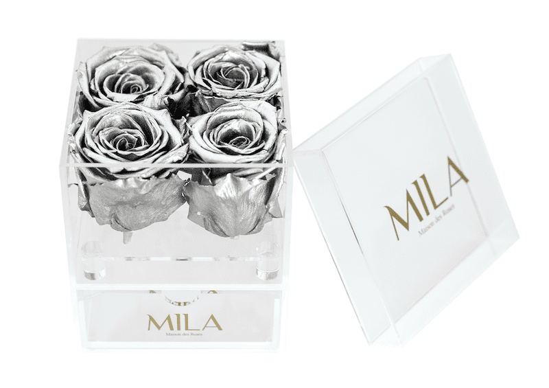 Mila Acrylic Mini Bijou - Mila Rose