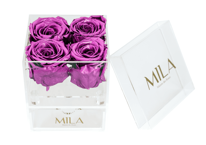 Mila Acrylic Mini Bijou - Mila Rose