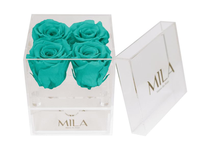 Mila Acrylic Mini Bijou - Mila Rose