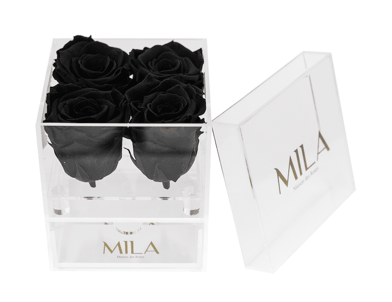 Mila Acrylic Mini Bijou - Mila Rose