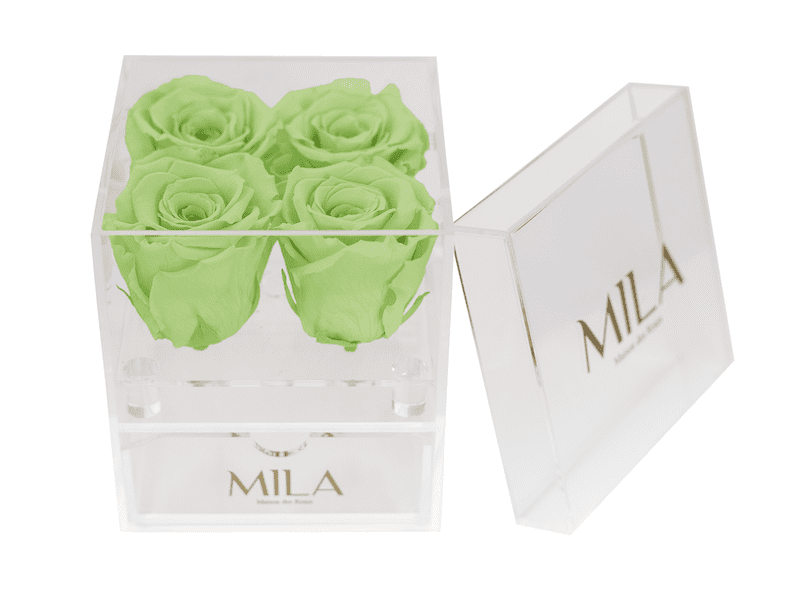 Mila Acrylic Mini Bijou - Mila Rose
