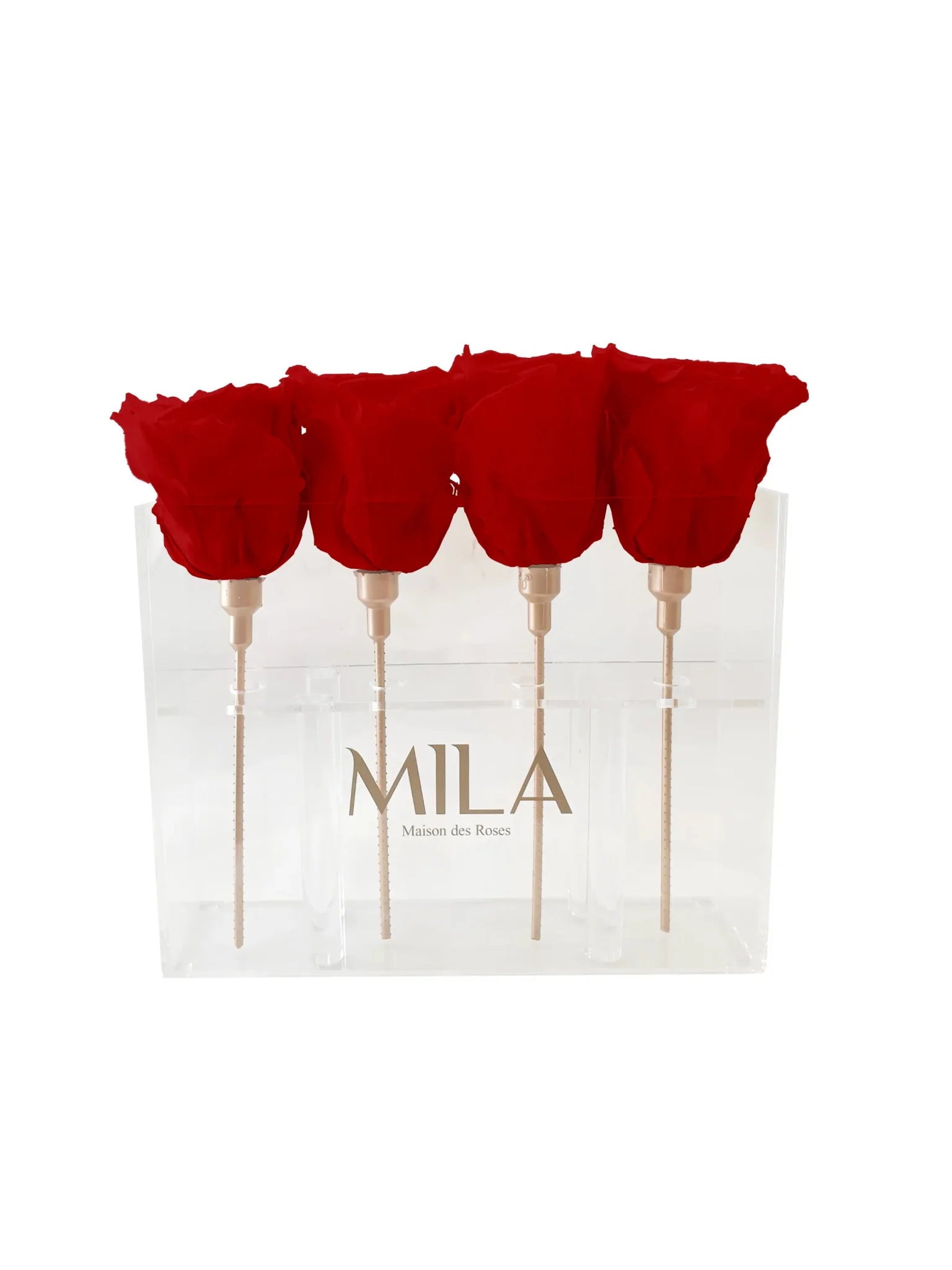 Mila Acrylic Mini Table - Mila Rose