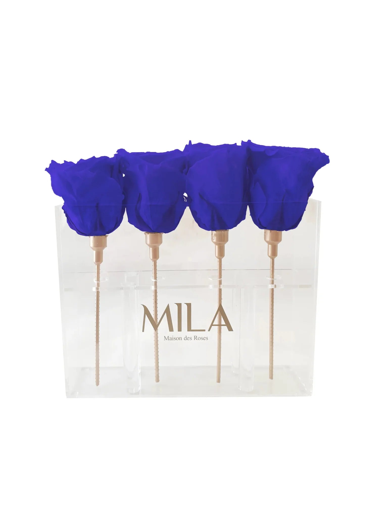 Mila Acrylic Mini Table - Mila Rose
