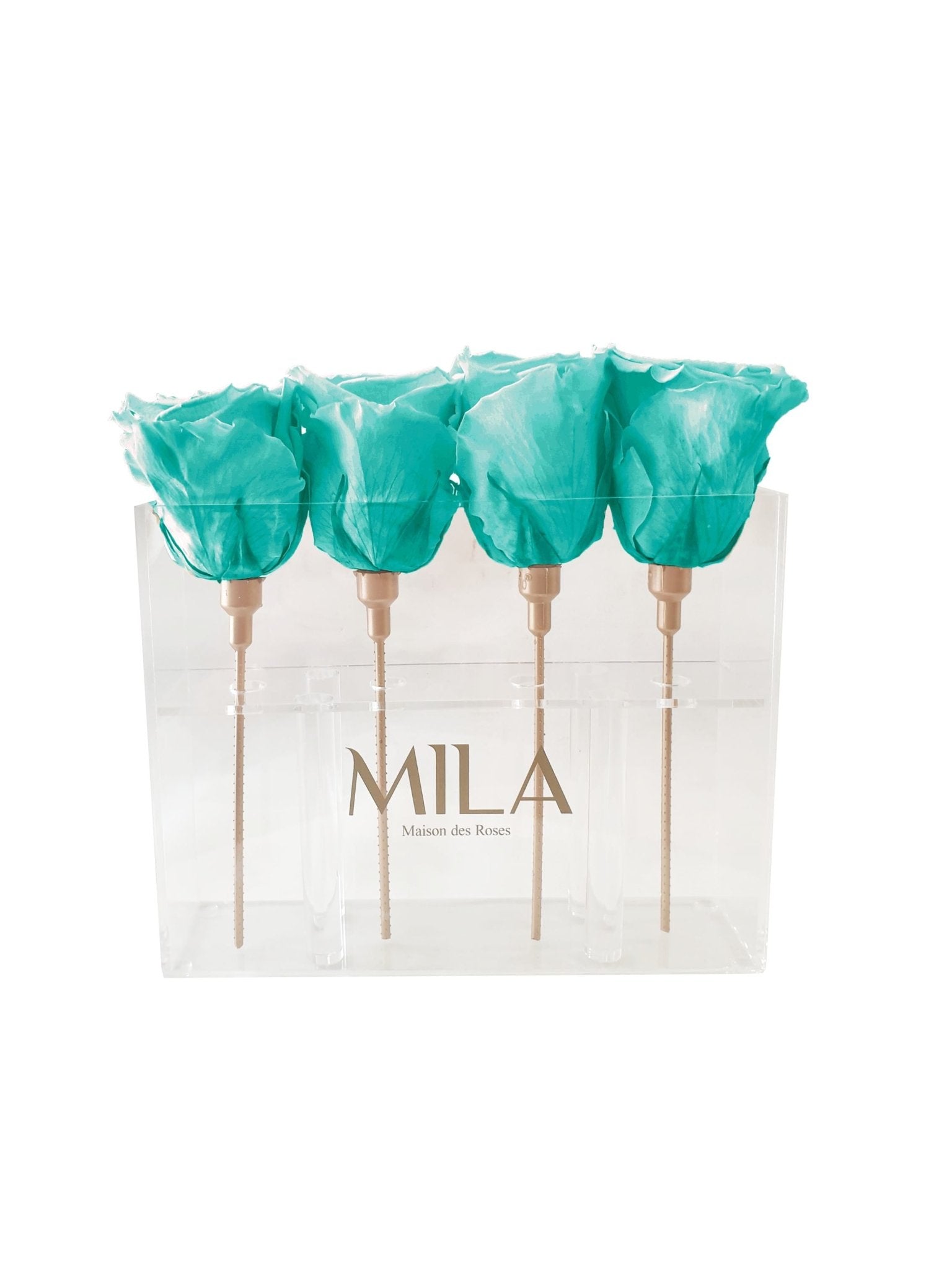Mila Acrylic Mini Table - MILA Maison Des Roses