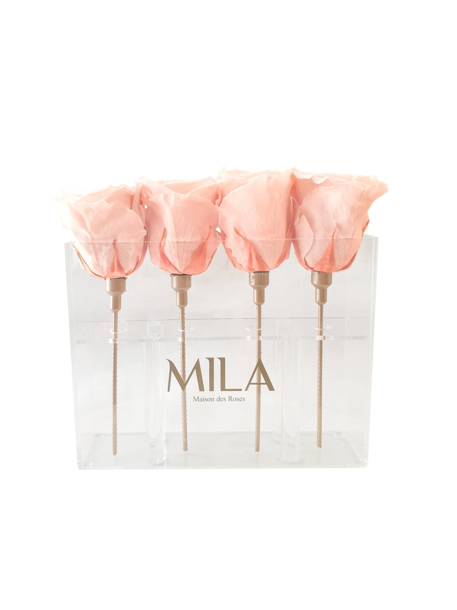Mila Acrylic Mini Table - MILA Maison Des Roses