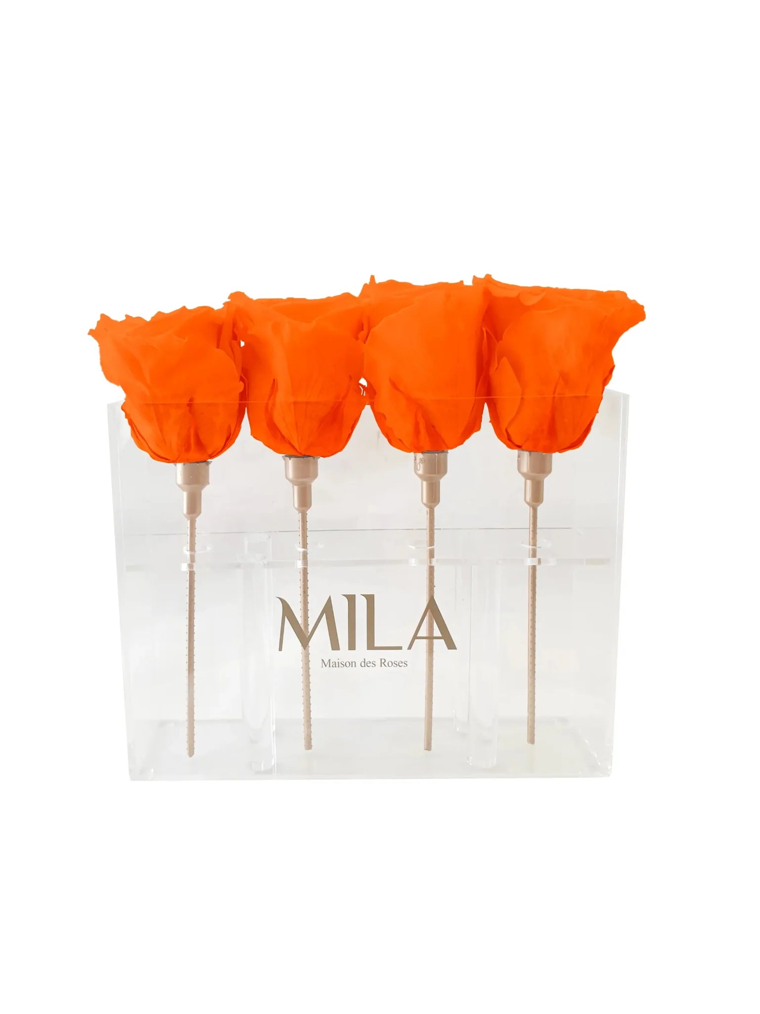 Mila Acrylic Mini Table - Mila Rose