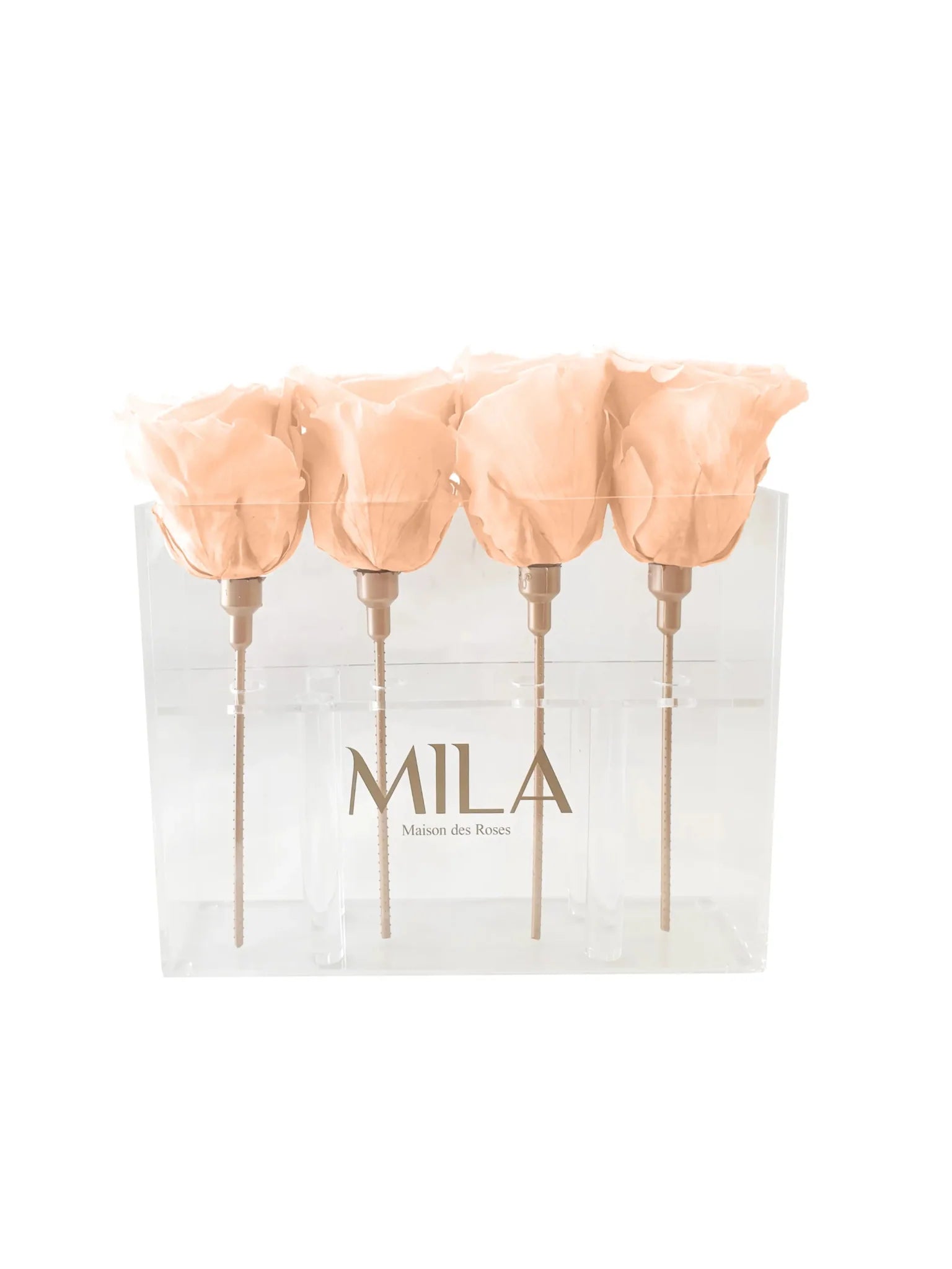 Mila Acrylic Mini Table - Mila Rose