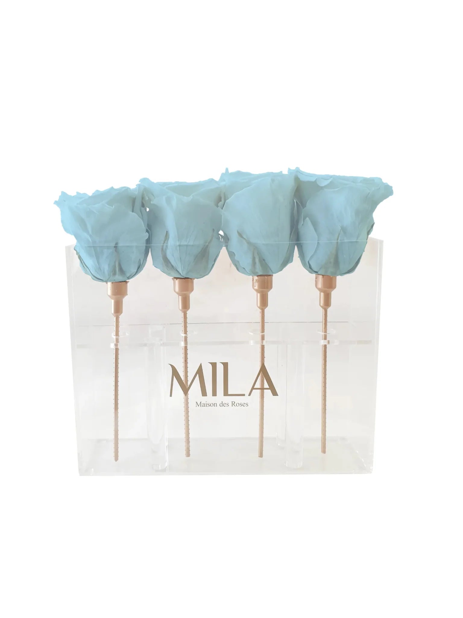 Mila Acrylic Mini Table - Mila Rose