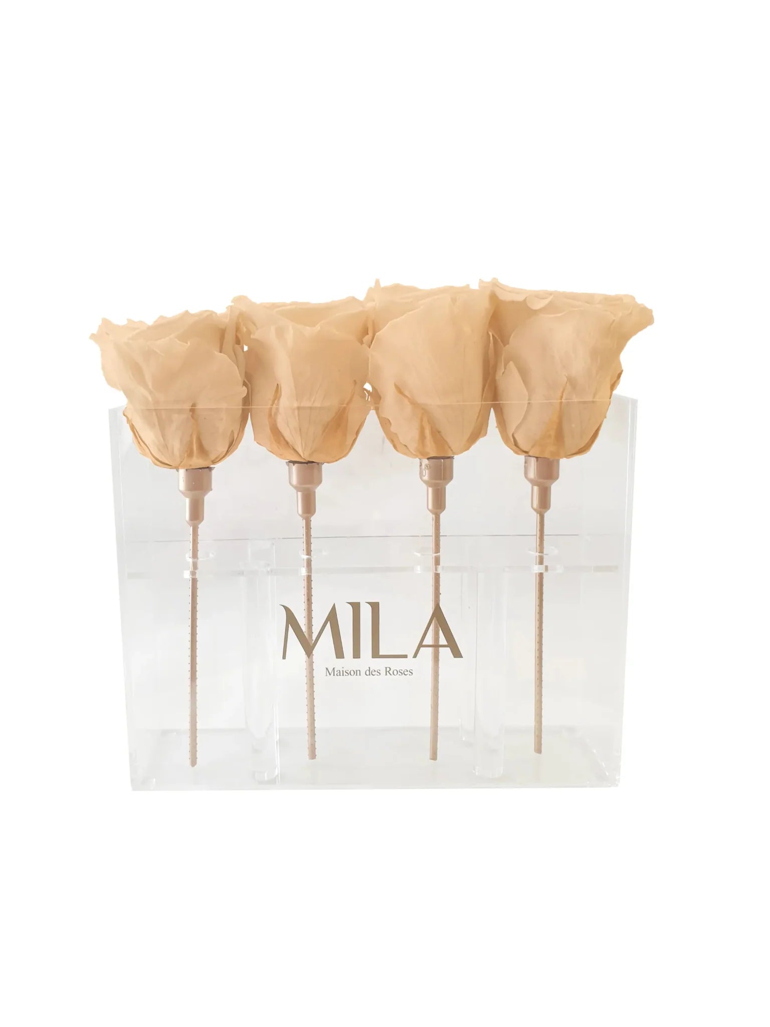 Mila Acrylic Mini Table - Mila Rose