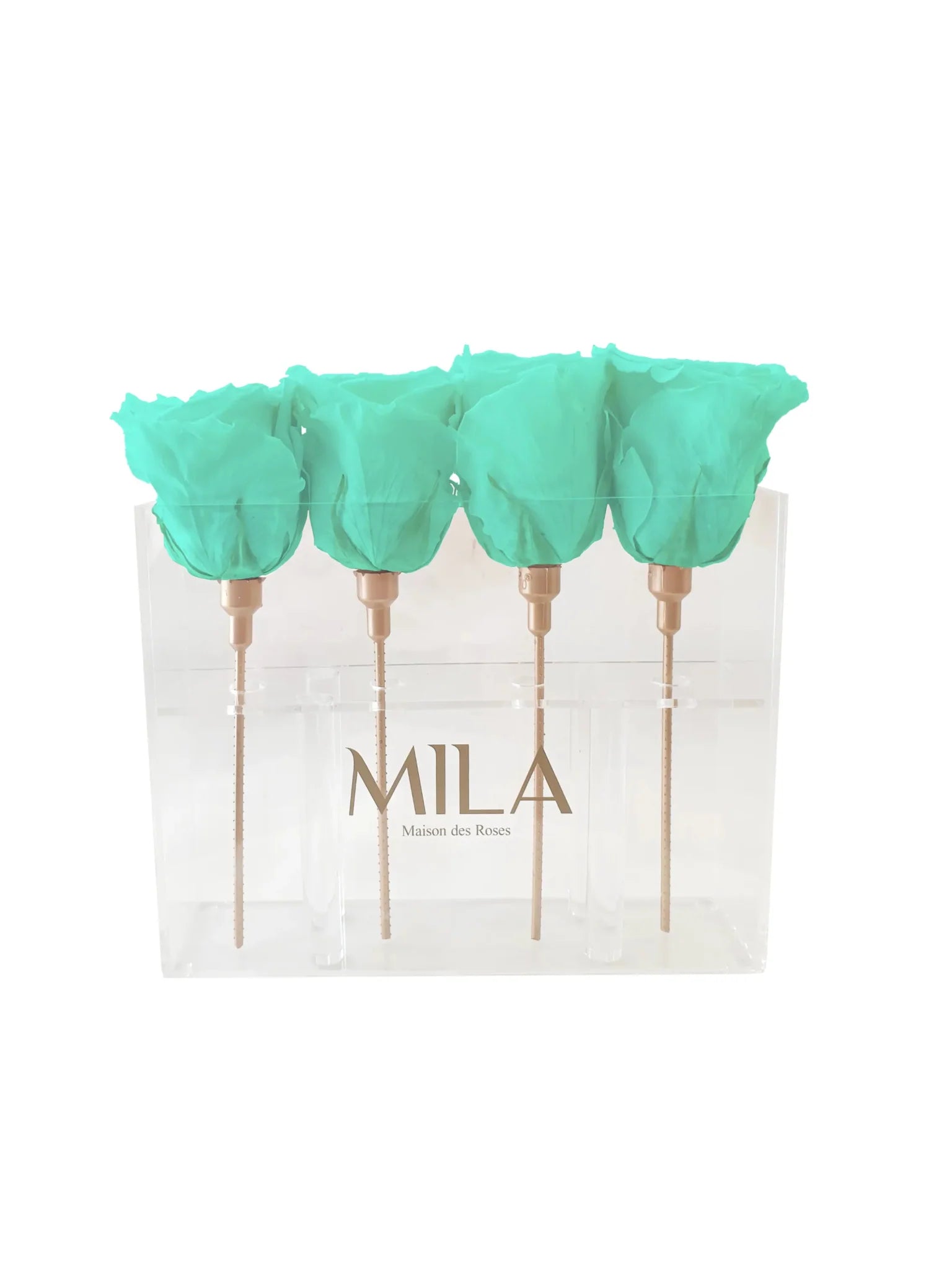 Mila Acrylic Mini Table - Mila Rose