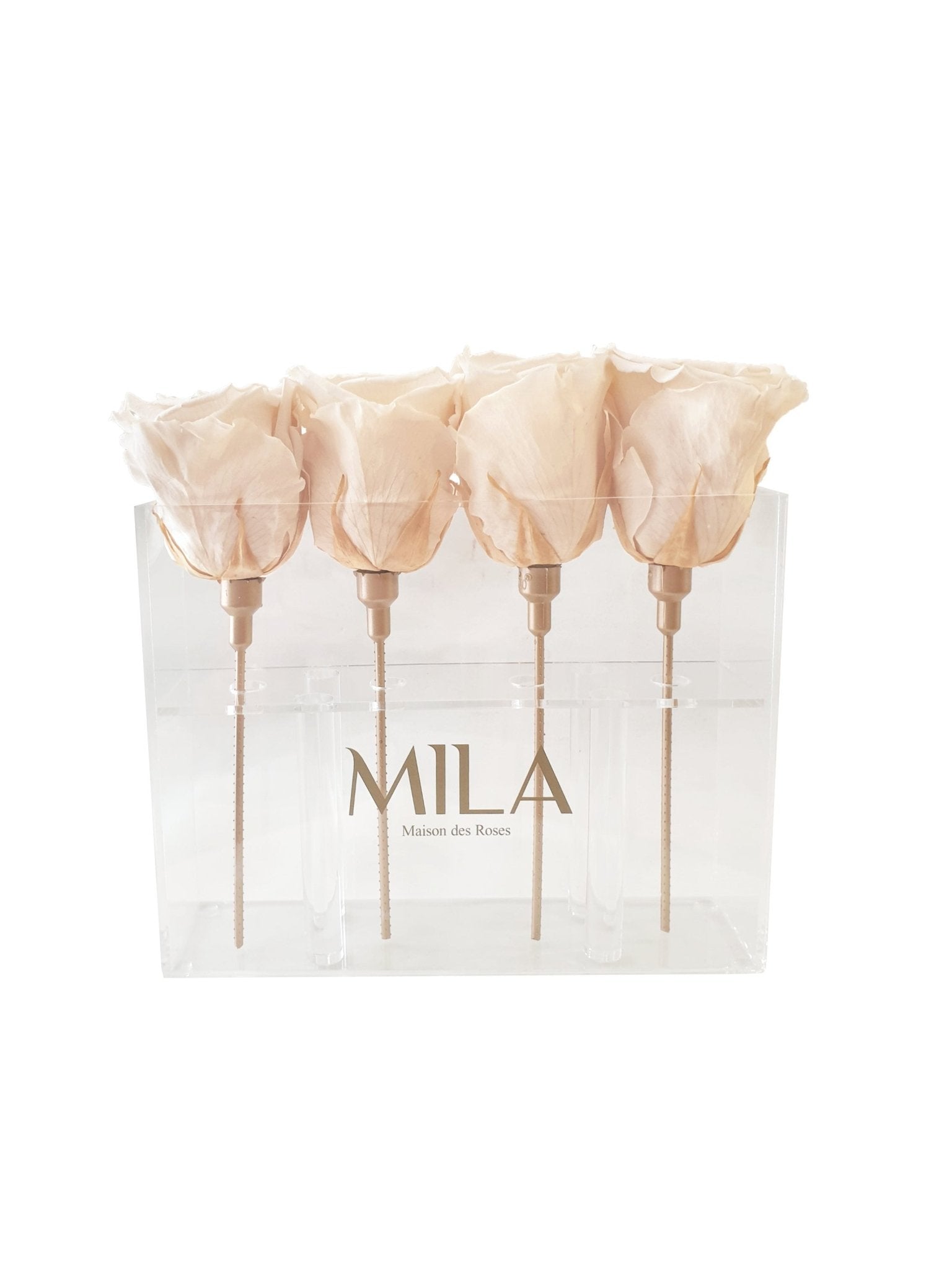 Mila Acrylic Mini Table - MILA Maison Des Roses
