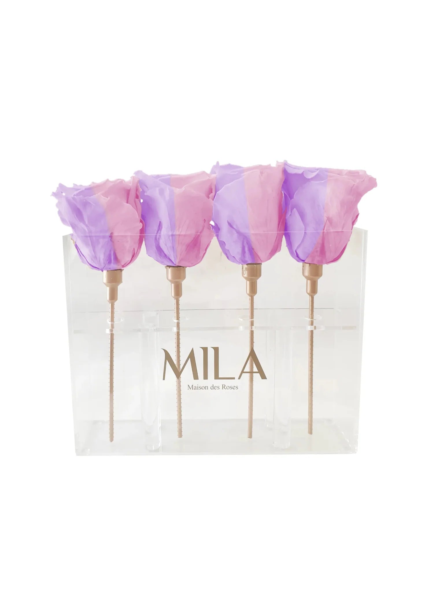Mila Acrylic Mini Table - Mila Rose
