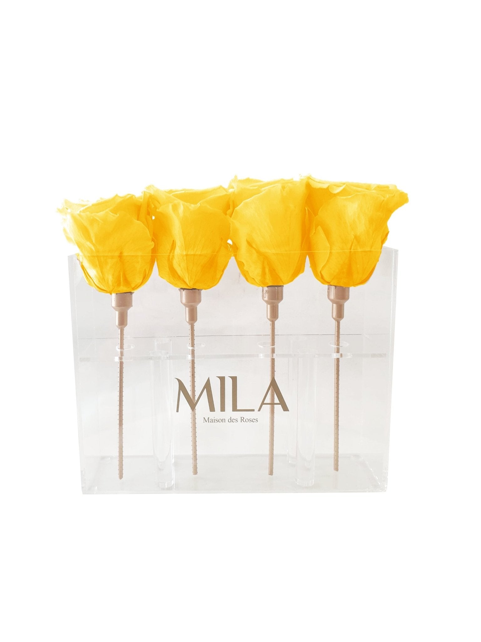 Mila Acrylic Mini Table - MILA Maison Des Roses