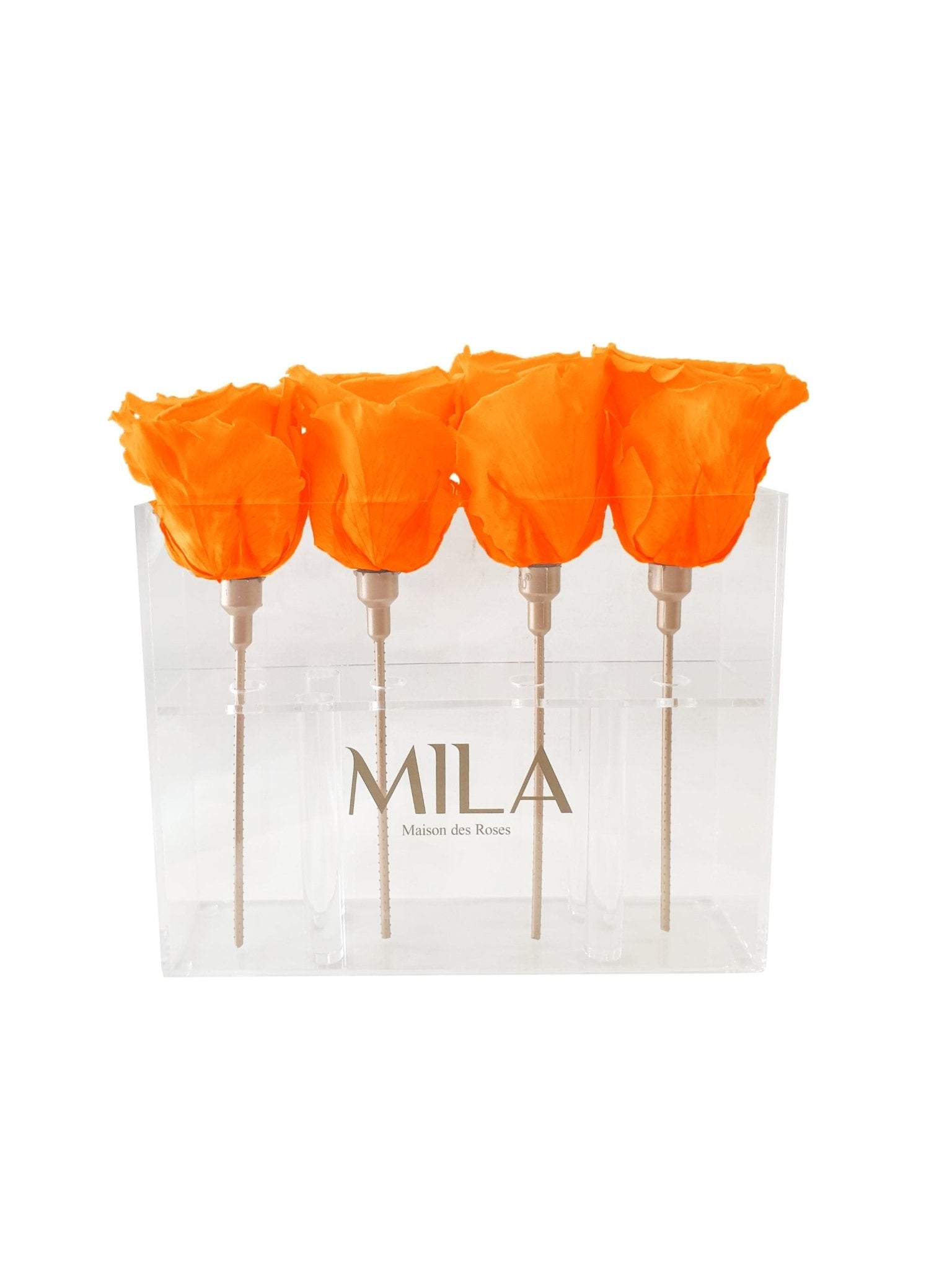 Mila Acrylic Mini Table - MILA Maison Des Roses