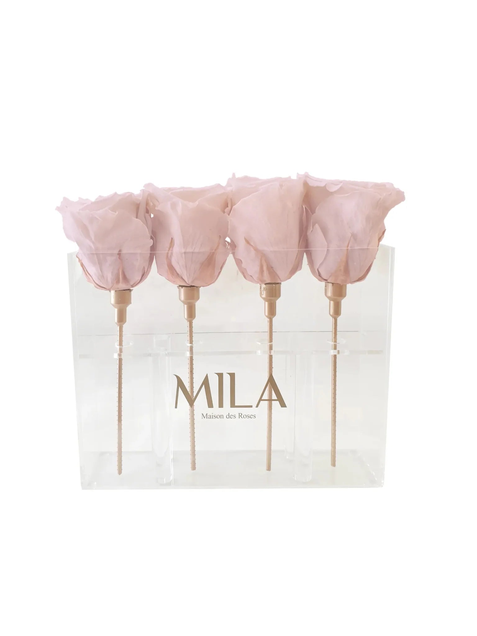 Mila Acrylic Mini Table - Mila Rose