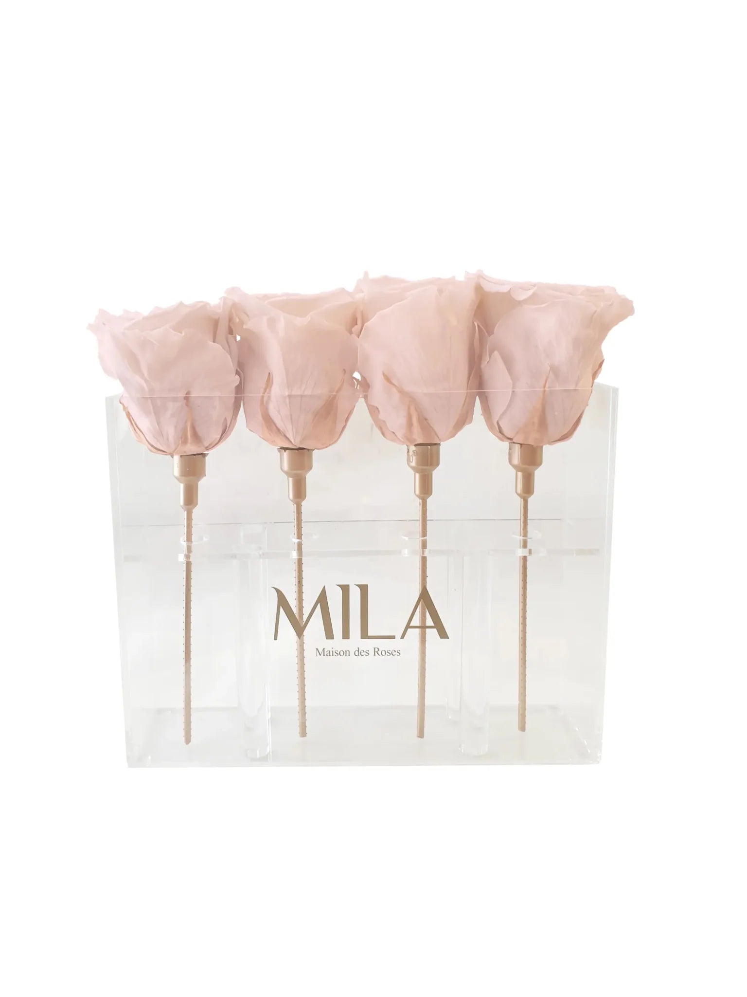 Mila Acrylic Mini Table - Mila Rose