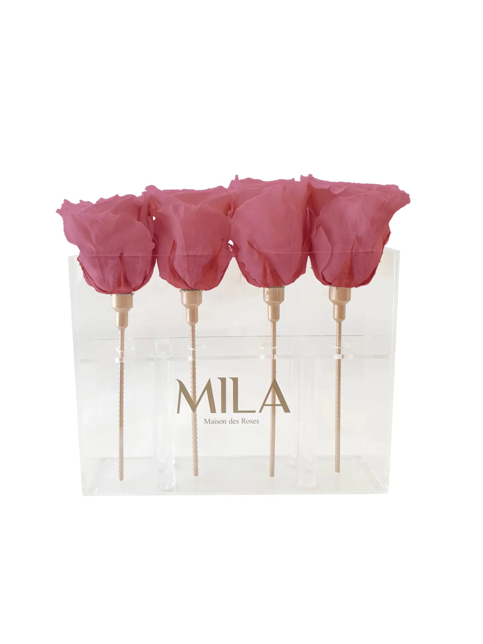 Mila Acrylic Mini Table - Mila Rose