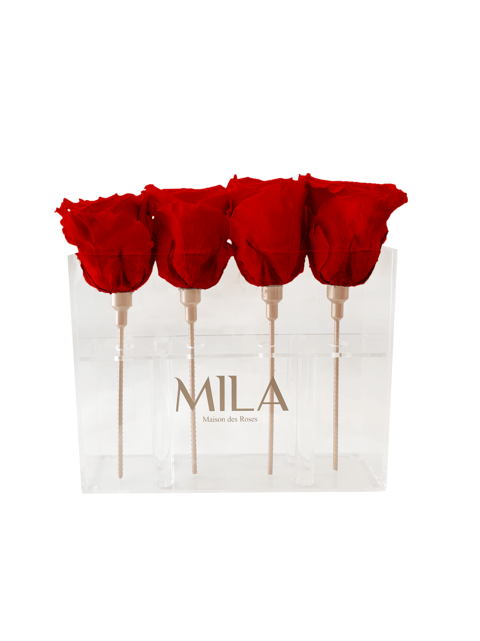 Mila Acrylic Mini Table - MILA Maison Des Roses