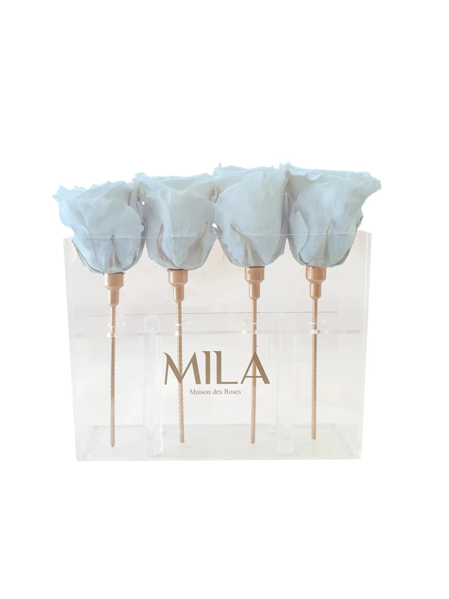 Mila Acrylic Mini Table - Mila Rose